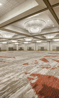 Axminster Hotel Carpet 0002 - bshwallsandfloors.com
