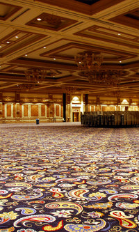 Axminster Hotel Carpet 0008 - bshwallsandfloors.com